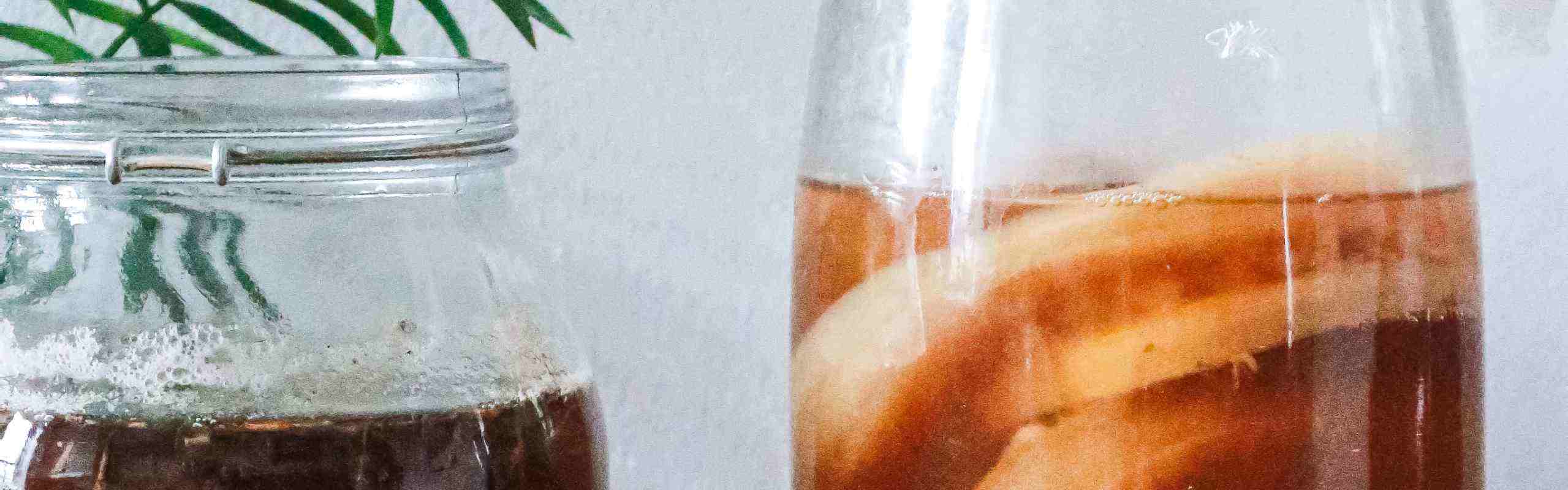 Cómo preparar té kombucha