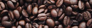 El origen del café y su cultivo